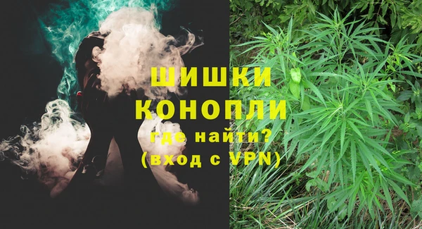 PSILOCYBIN Белокуриха
