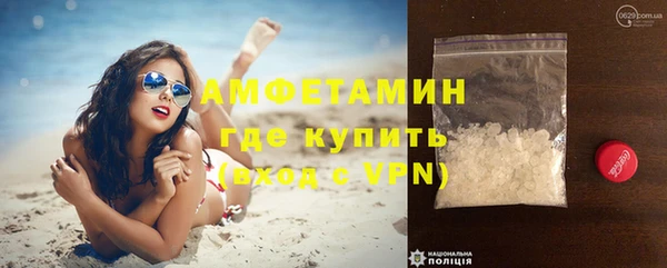 PSILOCYBIN Белокуриха
