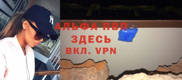 PSILOCYBIN Белокуриха